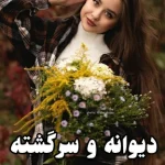 دانلود رمان دیوانه و سرگشته اثر محیا نگهبان بدون سانسور